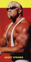 Scott Steiner